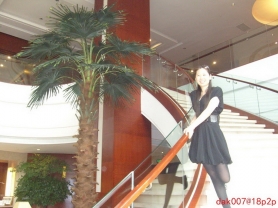 Chinese Amateur - #9