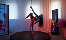 Bodacious Pole Dancer Puts On Fantastic Show On Webcam